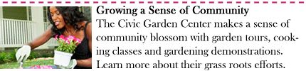 Growing a Sense of Community