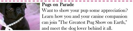 Pugs on Parade