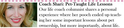 Coach Shari: Life Lessons Learned from a Pup
