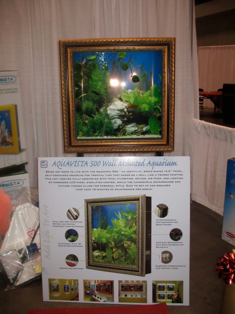 A Fishtank Frame! How cool!