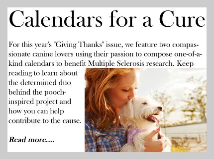 Calendars for a Cure