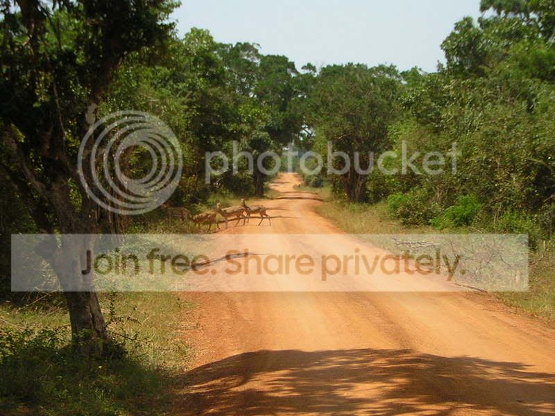 DSCN3070.jpg