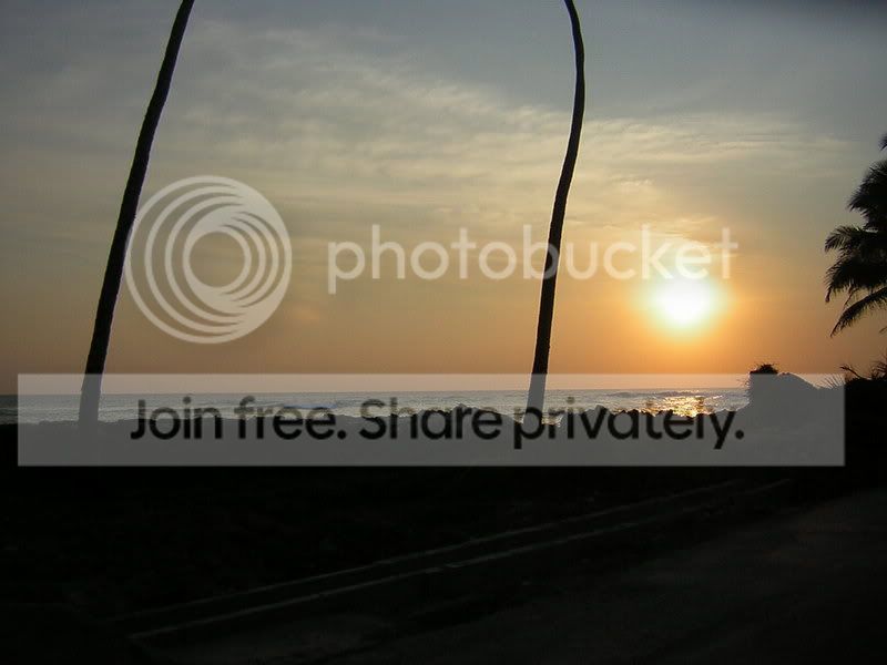 DSCN3082.jpg