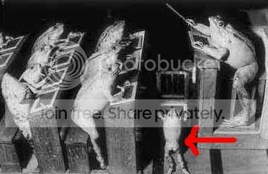 frogschoolec6.jpg