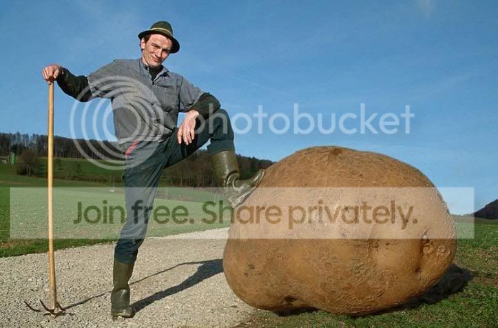 photato.jpg