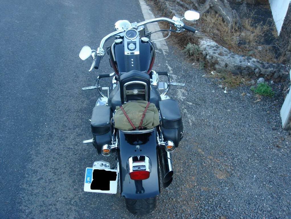harley davidson beach bars