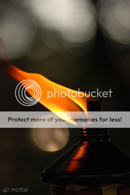 BLAZIN BOKEH Pictures, Images and Photos