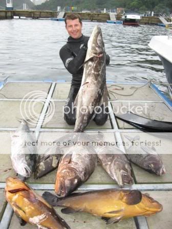 Me in Mexico w/ SPIERRE Pure Carbons used to battle Broomtail Grouper.