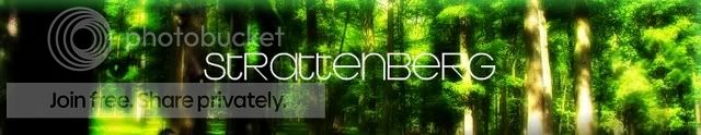 strattenberg_banner-1.jpg
