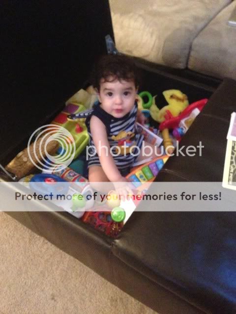 photo EA91F5F4-DF0C-4ADA-A605-A47AB73F0663-7384-00000322F43AD2FA_zpsc3107767.jpg