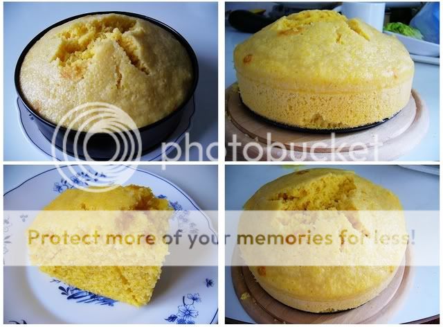 的发糕 - 烘焙园 - plum café 美食,育儿,教育,生活,手工 - powered