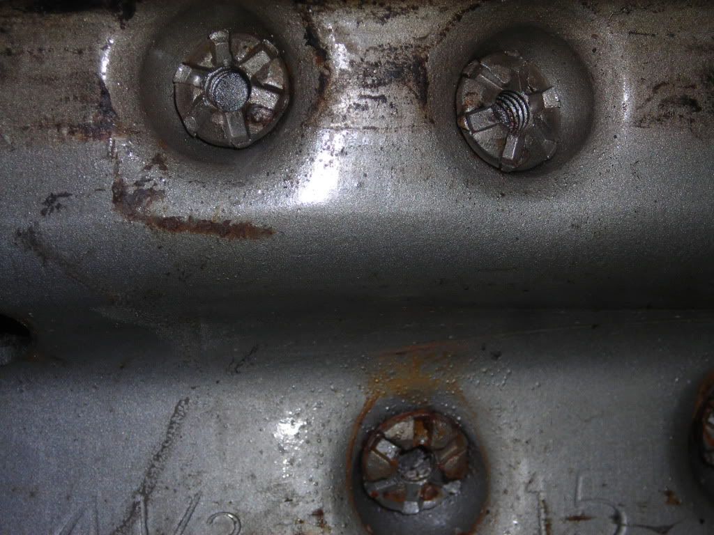 DSCN4325.jpg
