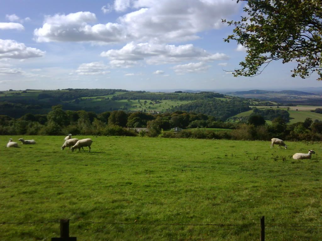 UKtripwithMcPhersonSept20106.jpg